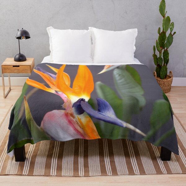 Item preview, Exotic Multicolored Crane Flower Photograph designed and sold by taiche.