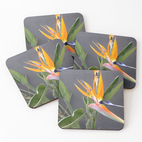 Item preview, Multicolored Bird Of Paradise Flower Photograph designed and sold by taiche.