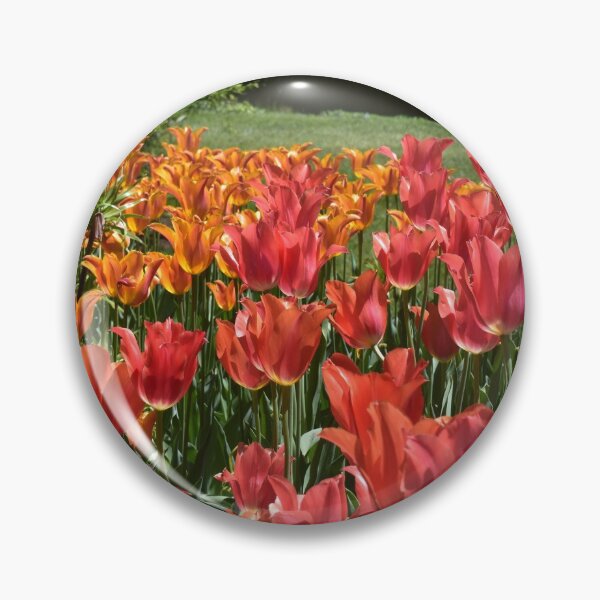 Artikelvorschau, Rotes und oranges Tulpenfeld entworfen und verkauft von SusanneFerrante.