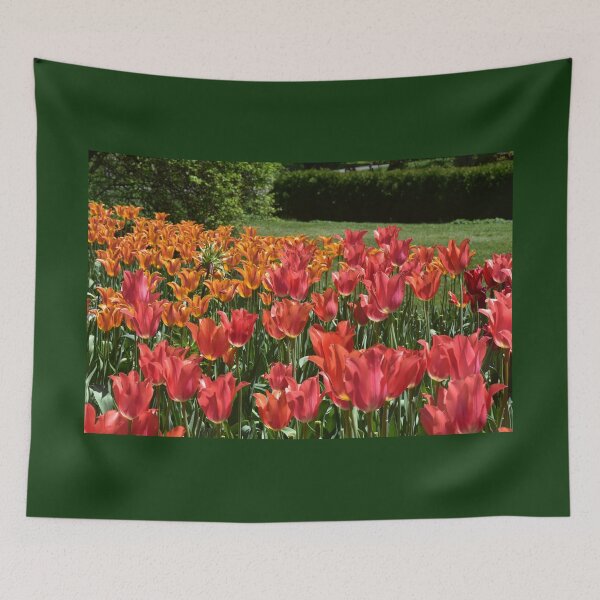 Item preview, Red and Orange Field of Tulips designed and sold by SusanneFerrante.