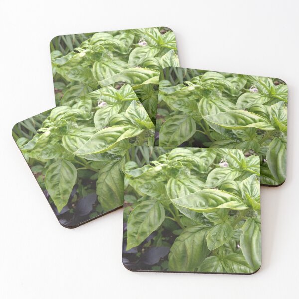 Item preview, basil green designed and sold by DonnaBlankaArt.