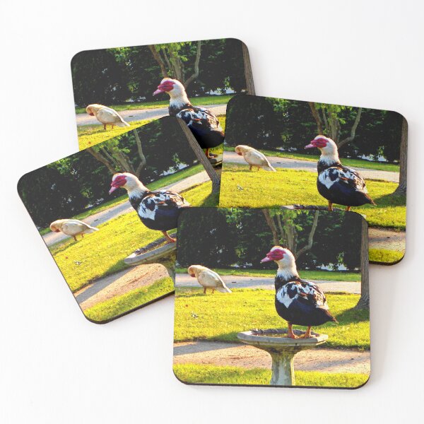 Item preview, Silly Goose designed and sold by DonnaM.