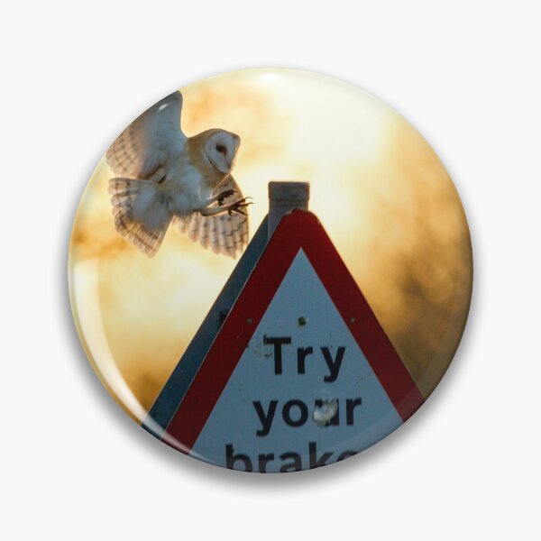 Item preview, Try Your Brakes designed and sold by Nick Jermy.