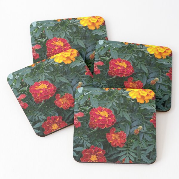 Item preview, marigolds designed and sold by DonnaBlankaArt.