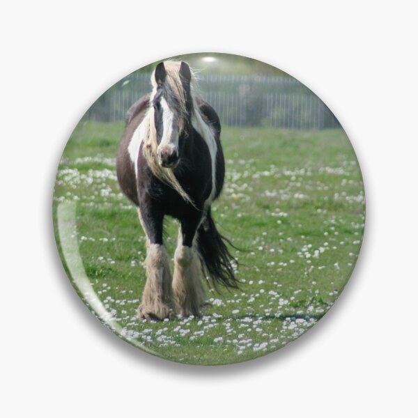 Item preview, Irish Mare designed and sold by Calidris Fotografie Steffi & Ben Köppler.
