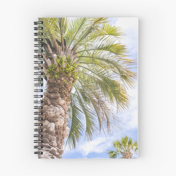 Item preview, Sabal Palmetto I designed and sold by ErikBPhoto.