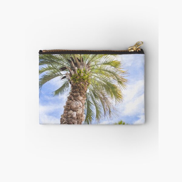 Item preview, Sabal Palmetto I designed and sold by ErikBPhoto.