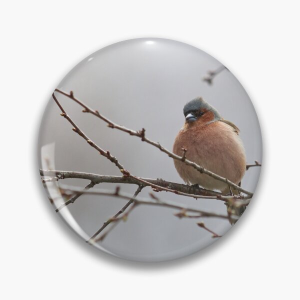 Item preview, The silvery gray day. Chaffinch designed and sold by Jouko Lehto Photography.