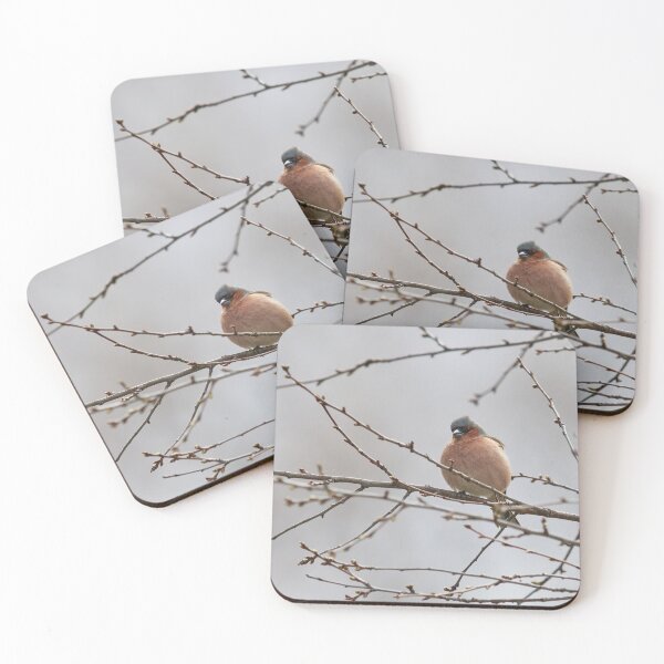 Item preview, The silvery gray day. Chaffinch designed and sold by Jouko Lehto Photography.