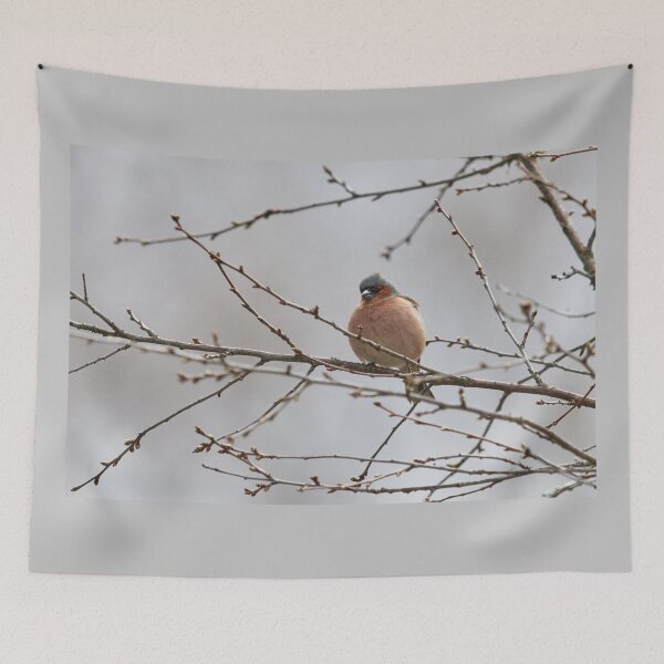 Item preview, The silvery gray day. Chaffinch designed and sold by Jouko Lehto Photography.