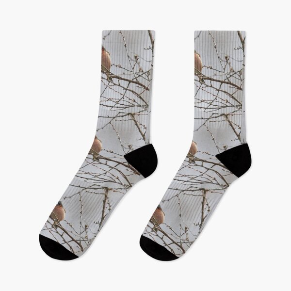Item preview, The silvery gray day. Chaffinch designed and sold by Jouko Lehto Photography.