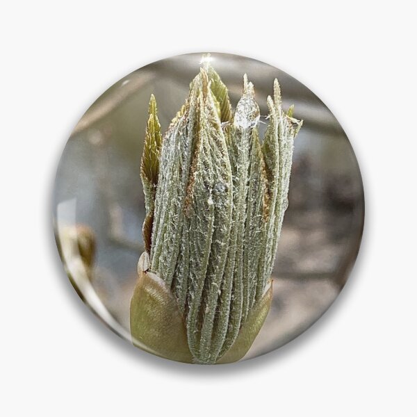Item preview, Italian Painted Buckeye Terminal Bud designed and sold by Max Kindly.