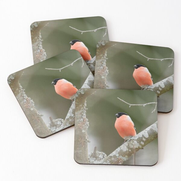 Item preview, Behind the shadow layers, Eurasian bullfinch designed and sold by Jouko Lehto Photography.