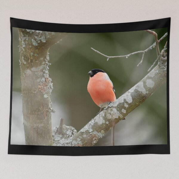 Item preview, Behind the shadow layers, Eurasian bullfinch designed and sold by Jouko Lehto Photography.