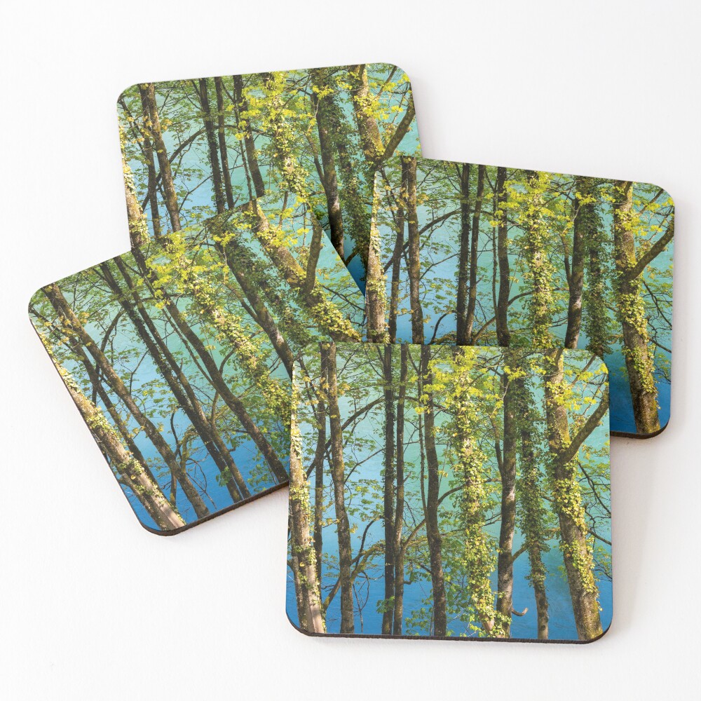 Item preview, Coasters (Set of 4) designed and sold by DiFigianoPhoto.