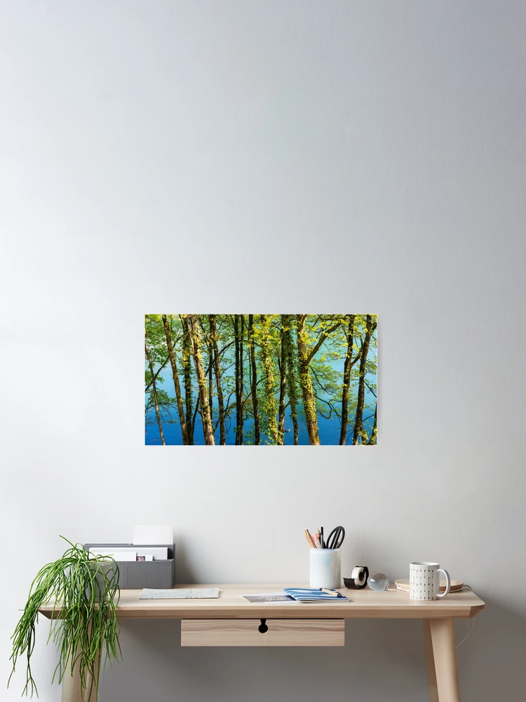 Thumbnail 2 of 3, Poster, Springtime Splendor designed and sold by DiFigianoPhoto.