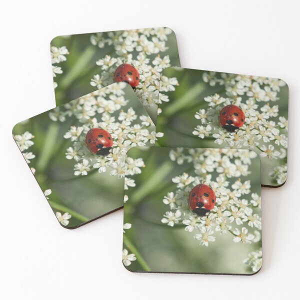 Item preview, Seven-spot ladybird panoramic designed and sold by Jouko Lehto Photography.