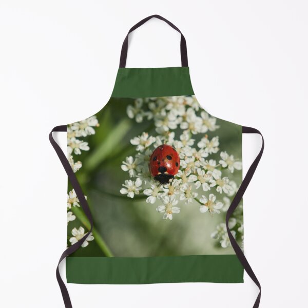 Item preview, Seven-spot ladybird panoramic designed and sold by Jouko Lehto Photography.