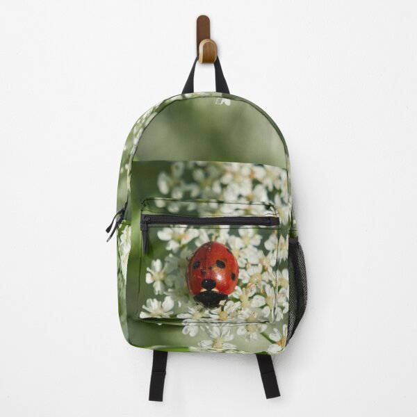 Item preview, Seven-spot ladybird panoramic designed and sold by Jouko Lehto Photography.