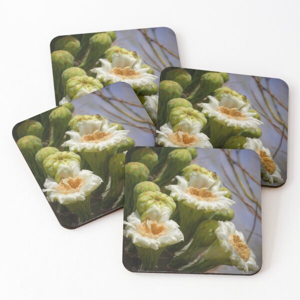 Item preview, Saguaro Blooms designed and sold by MandyHawley.