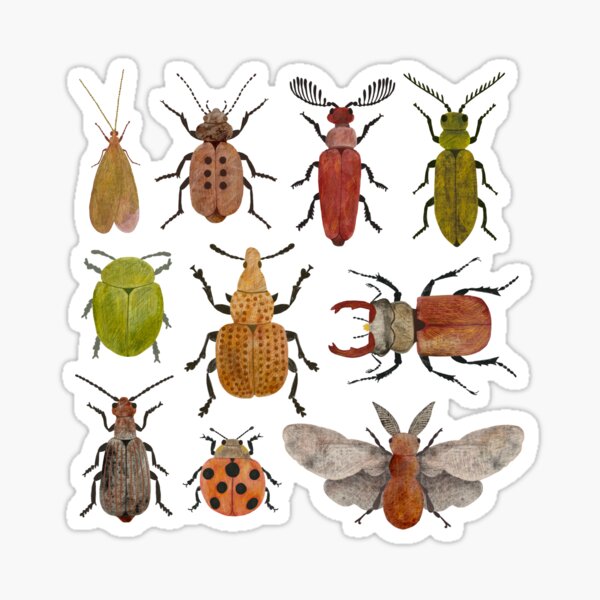 Item preview, Vintage insects designed and sold by runlenarun.