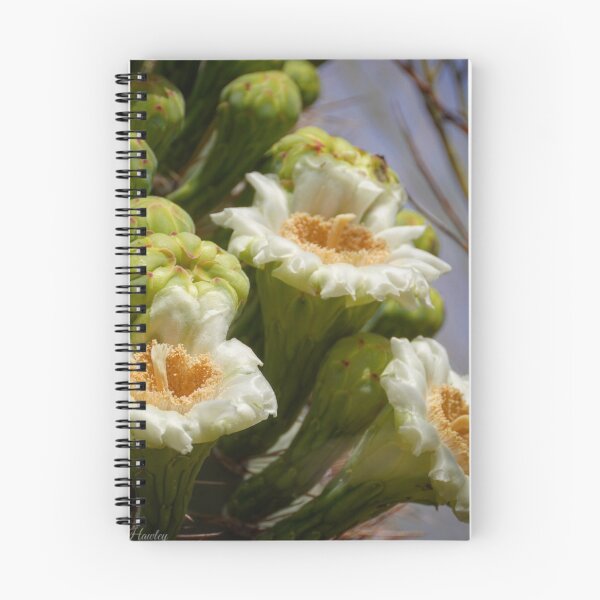 Item preview, Saguaro Blooms designed and sold by MandyHawley.
