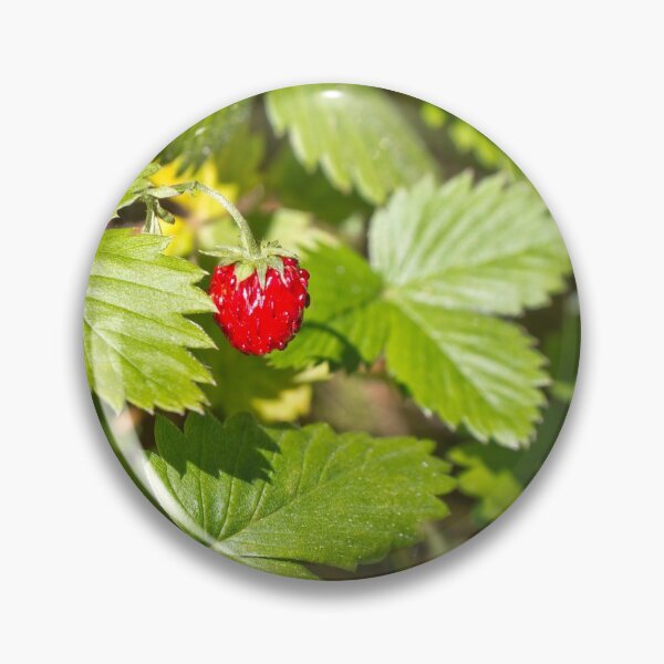 Item preview, Eat me wild strawberries designed and sold by Delphimages Art.
