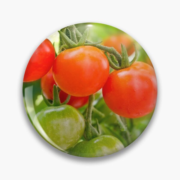 Item preview, Cherry tomatoes designed and sold by Delphimages Art.