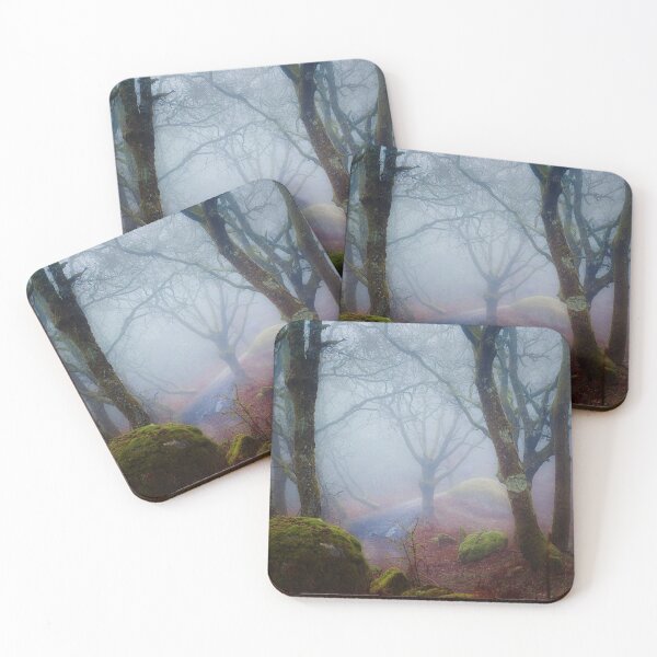 Item preview, Humid forest in a foggy day in Portugal designed and sold by Jesús Javier Martínez Landín.