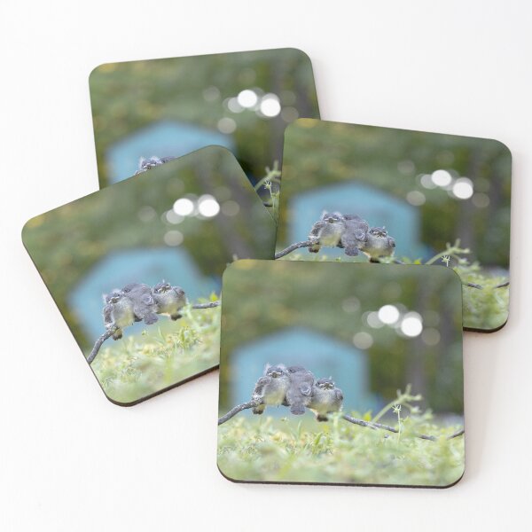 Item preview, Fledglings - 3 Little Birds designed and sold by ErikBPhoto.