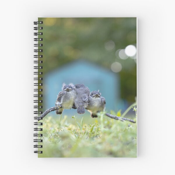 Item preview, Fledglings - 3 Little Birds designed and sold by ErikBPhoto.