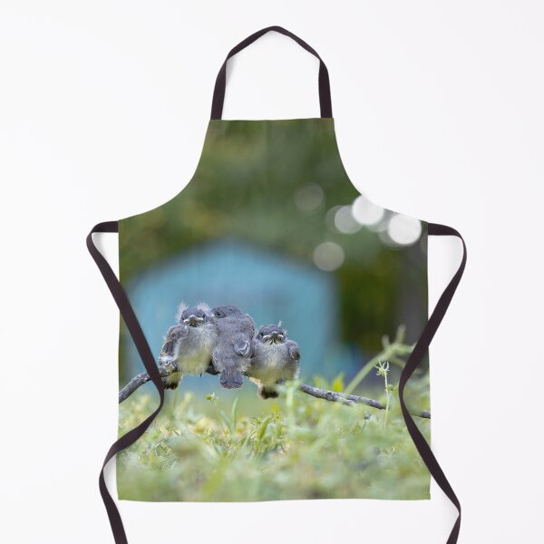 Item preview, Fledglings - 3 Little Birds designed and sold by ErikBPhoto.