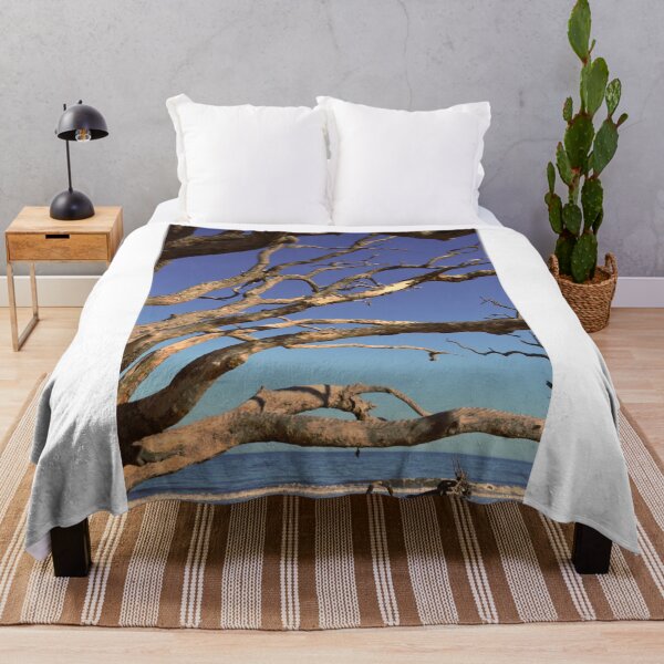 Item preview, Madera flotante de la isla Jekyll designed and sold by LisaWootenPhoto.