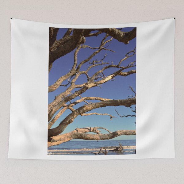 Aperçu de l'œuvre Bois flotté de Jekyll Island créée et vendue par LisaWootenPhoto.