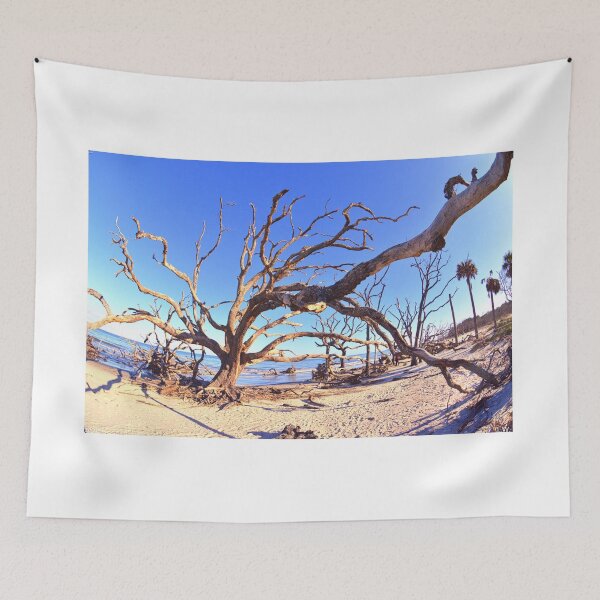 Item preview, Madera flotante y arena de la isla Jekyll designed and sold by LisaWootenPhoto.