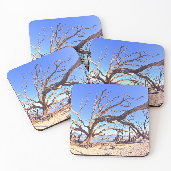 Item preview, Madera flotante y arena de la isla Jekyll designed and sold by LisaWootenPhoto.