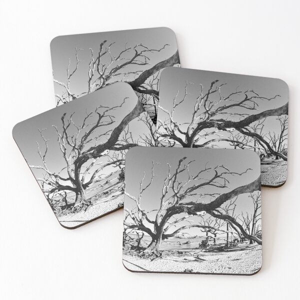 Item preview, Jekyll Island Driftwood And Sand Blanco y negro designed and sold by LisaWootenPhoto.