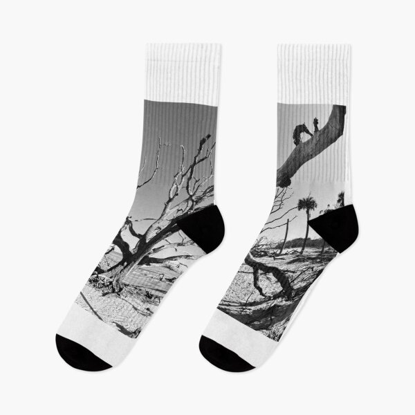 Item preview, Jekyll Island Driftwood And Sand Blanco y negro designed and sold by LisaWootenPhoto.