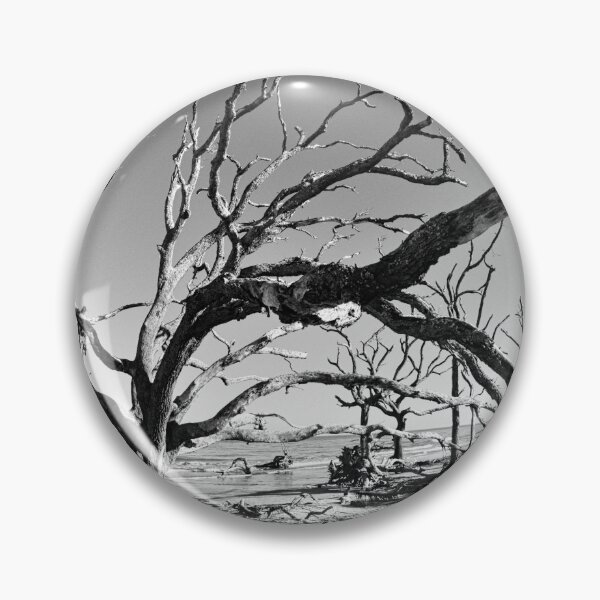 Item preview, Jekyll Island Driftwood And Sand Blanco y negro designed and sold by LisaWootenPhoto.