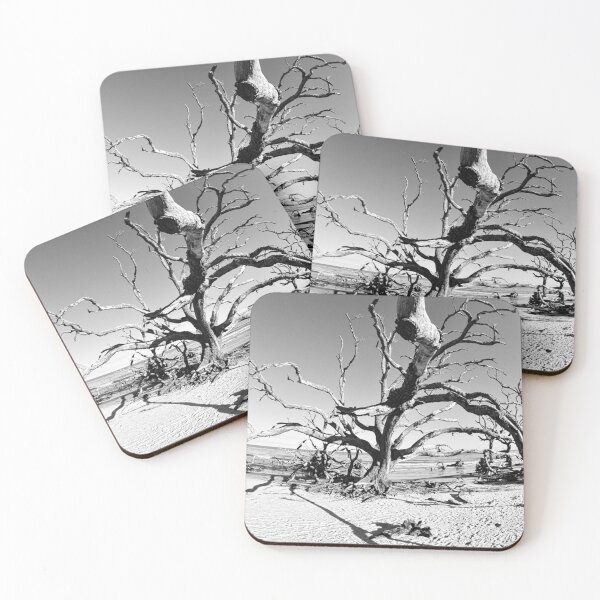 Item preview, Jekyll Island Driftwood and Sand Vertical en blanco y negro designed and sold by LisaWootenPhoto.