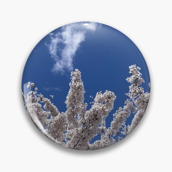 Item preview, White to white cherry blossoms  designed and sold by ClaireRequa.