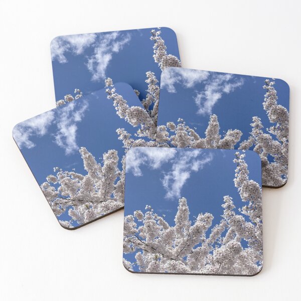 Item preview, White to white cherry blossoms  designed and sold by ClaireRequa.