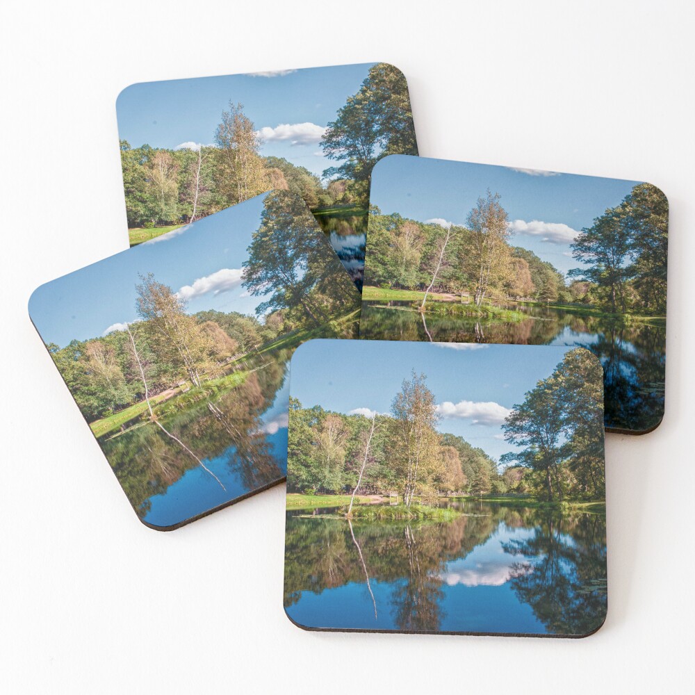 Item preview, Coasters (Set of 4) designed and sold by Ruthie33.