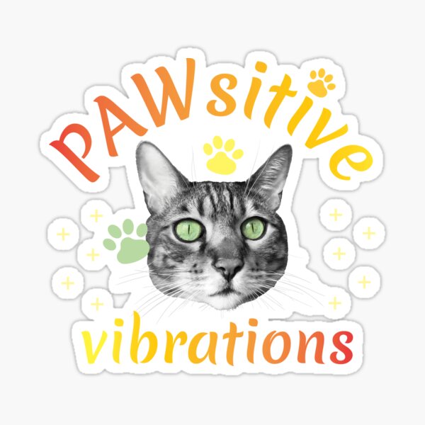 PAWsitive vibrations, pattes et tête de chat, couleurs chaudes, fond bleu vert Sticker
