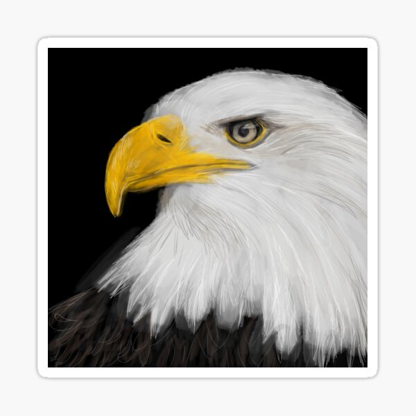 Weisskopfseeadler Sticker