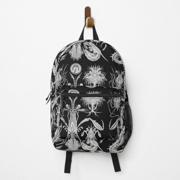 Item preview, Thoracostraca–Panzerkrebse-from-Kunstformen-der-Natur designed and sold by LazyHatter.