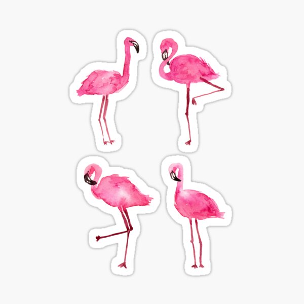 Roux Flamingo