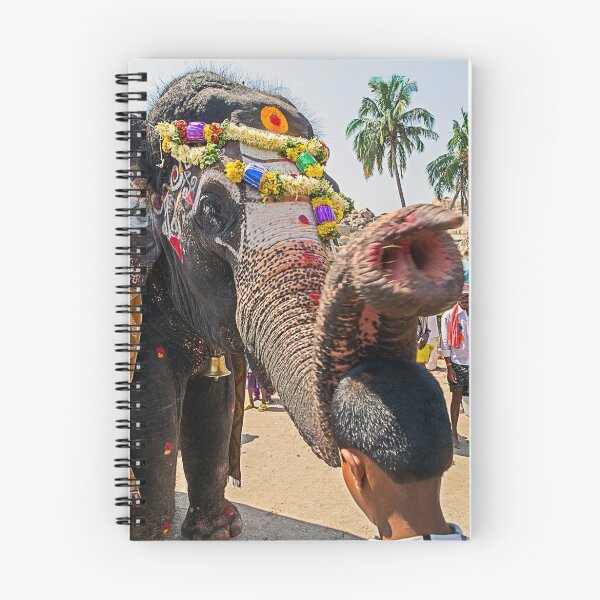 Item preview, Elephant Blessing. designed and sold by bulljup.