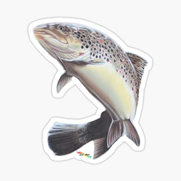 Truite fario par Sab Arts Sticker