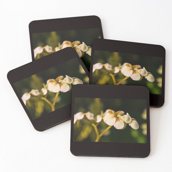 Item preview, Flowers at Dusk designed and sold by LiaJstudios.